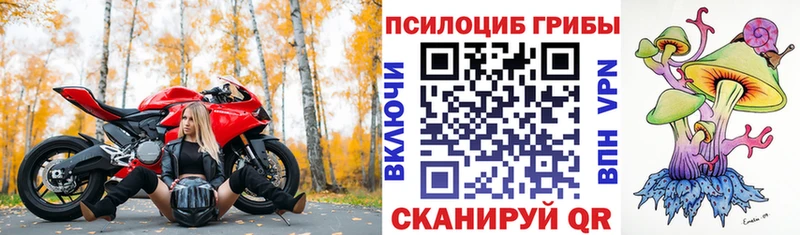 blacksprut сайт  Волгореченск  Галлюциногенные грибы мицелий 