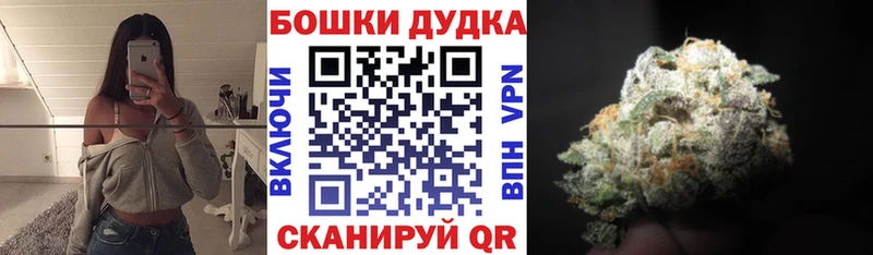 купить наркотик  мориарти официальный сайт  Бошки марихуана семена  Волгореченск 